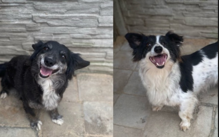 Zbiórka Niechciane teraz mają szansę - zdjęcie główne