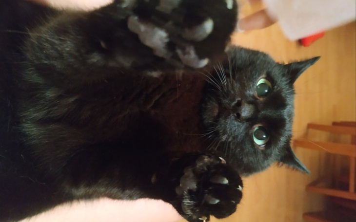 Zbiórka Marzenie o diagnozie - zdjęcie główne