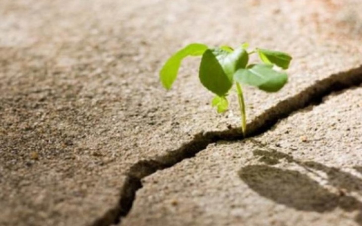 Zbiórka Na nowe życie... - zdjęcie główne