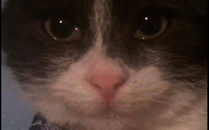 Zbiórka Chcę żyć ! - zdjęcie główne