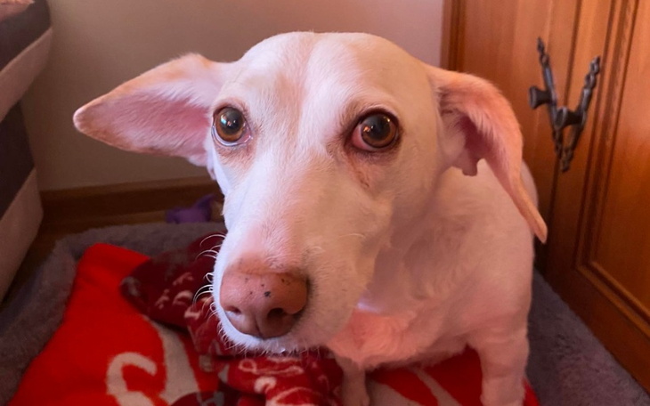 Zbiórka Rezonans magentyczny - zdjęcie główne