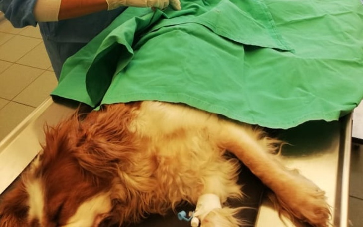 Zbiórka Zabrano jej wszystko .... - zdjęcie główne