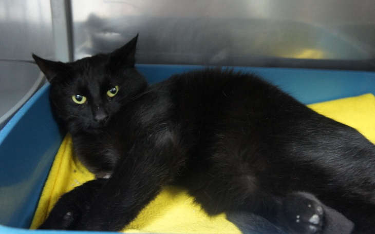 Zbiórka Tuńczyk, operacja biodra - zdjęcie główne