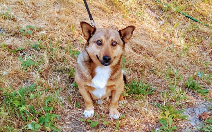 Zbiórka Bingo zbiera na hotelik . - zdjęcie główne