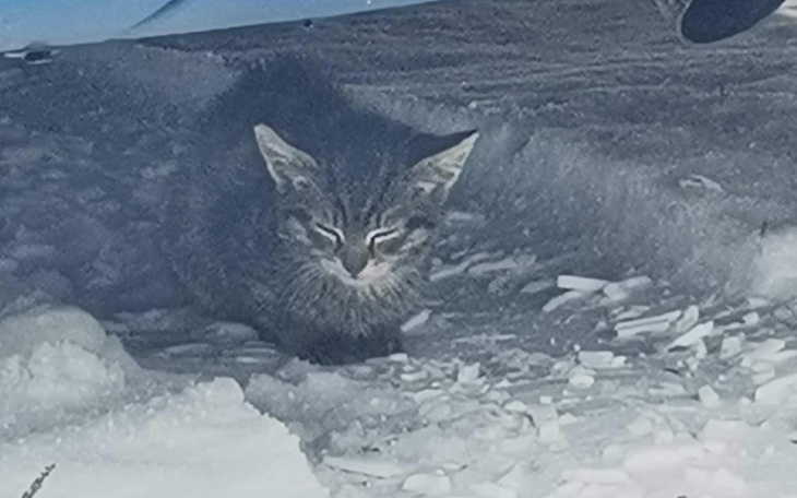 Zbiórka Musimy opłacić rachunki.. musimy - zdjęcie główne