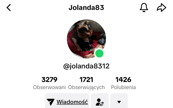 Profil użytkownika z psem, statystyki i aktywność.