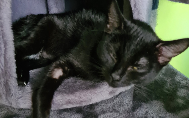 Starsza osoba leżąca w łóżku, z rurką tlenową.