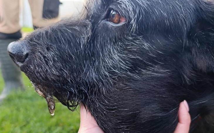 Osoba trzymająca paczkę z prezentem, uśmiechnięta.