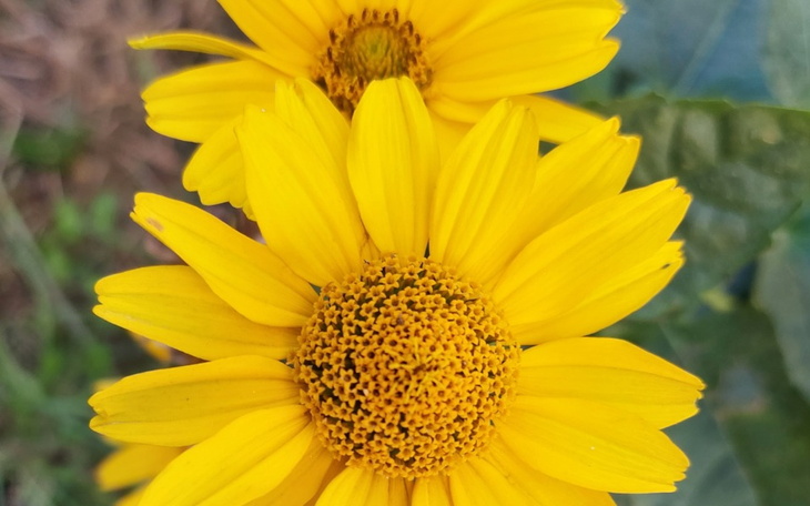 Zbiórka Lekarstwa dla mamy z córką - zdjęcie główne