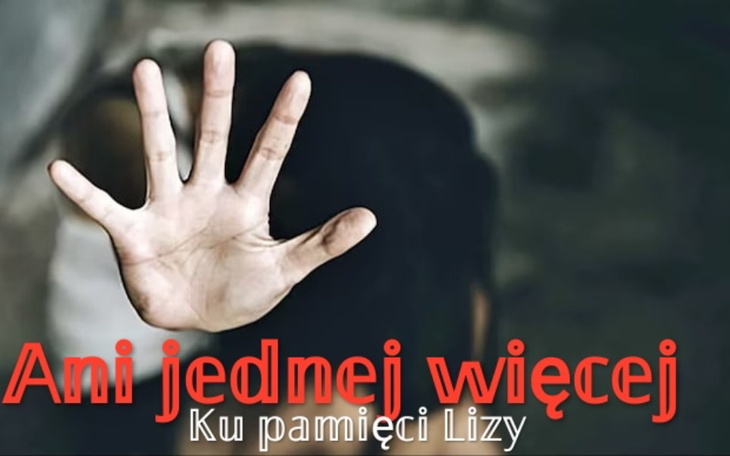 Zbiórka Ku pamięci Lizy - zdjęcie główne