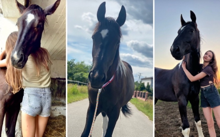 Zbiórka Ratujmy Diega - zdjęcie główne