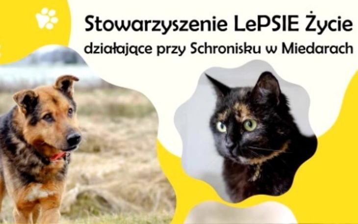 Logo Stowarzyszenia LePSIE Życie z wizerunkiem psa i kota.