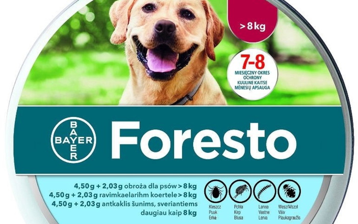 Zbiórka Obroże Foresto dla bidulaków - zdjęcie główne