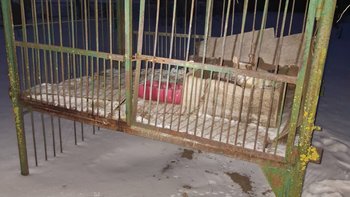 Zbiórka Śmierć zaglądała w oczy. - miniaturka zdjęcia