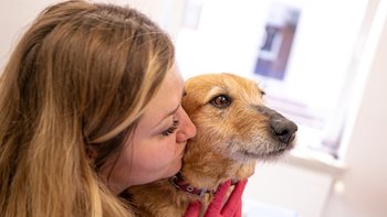 Zbiórka Pomoc dla Lusi - miniaturka zdjęcia