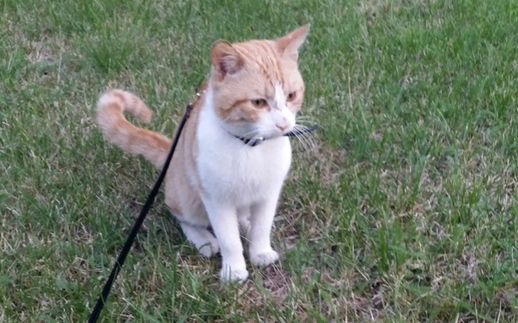 Zbiórka Na nowe, lepsze życie. - zdjęcie główne