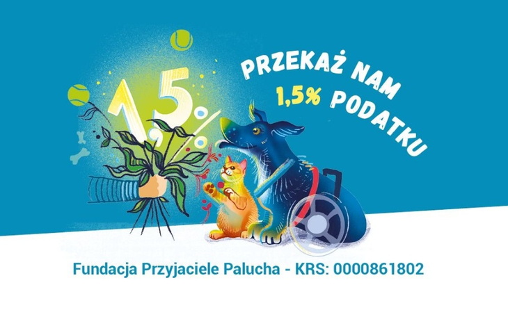 Zbiórka Na cele statutowe Fundacji - zdjęcie główne