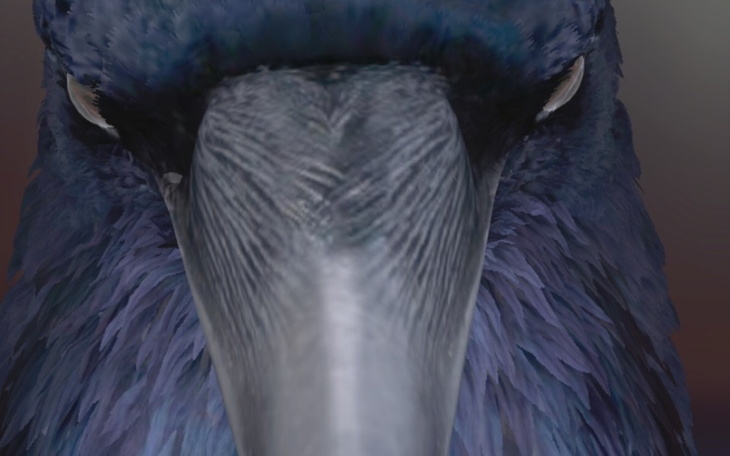 Zbiórka Zbiorka dla chorego psa - zdjęcie główne