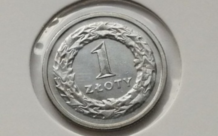 Zbiórka Symboliczna Złotóweczka - zdjęcie główne