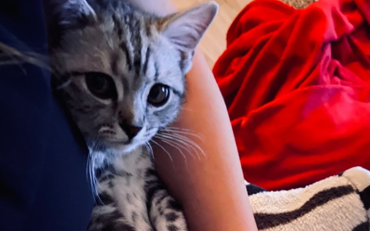 Zbiórka Loki - Walka o życie - zdjęcie główne