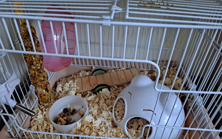 Zbiórka Zbieram na dobrą klatke - zdjęcie główne