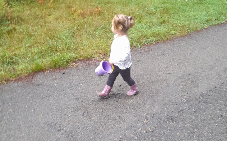 Zbiórka Lockdawn - zdjęcie główne