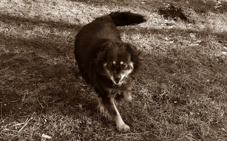 Zbiórka Skazane na zapomnienie za życia - zdjęcie główne