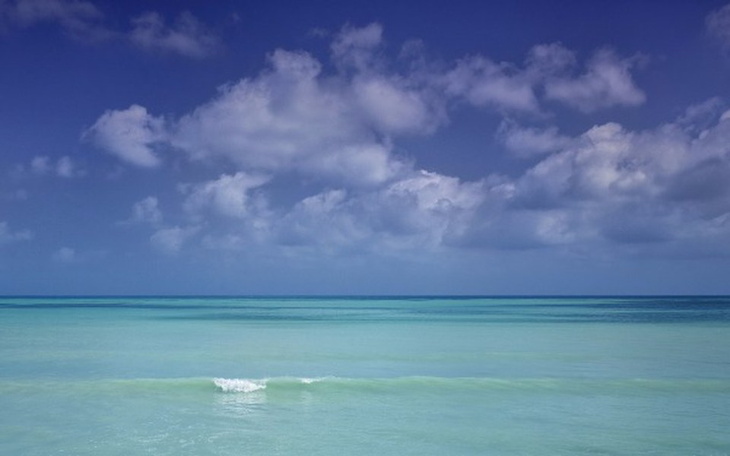 Zbiórka Spełnienie marzeń dzieci - zdjęcie główne