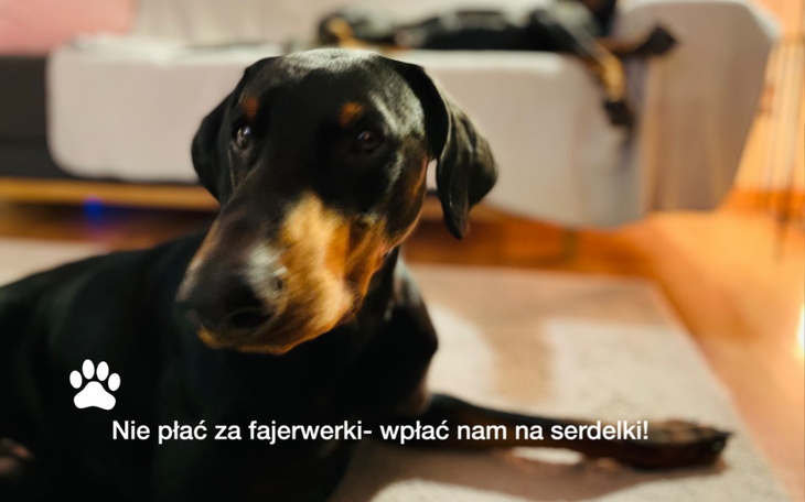 Zbiórka Na serdelki Arenia - zdjęcie główne