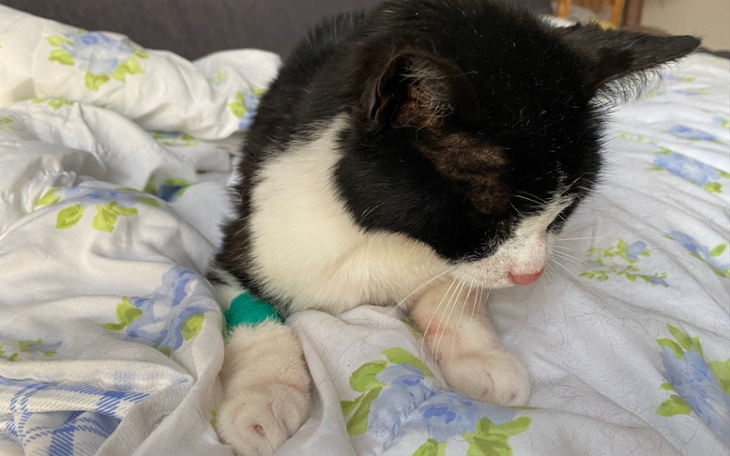 Zbiórka Pobita Agatka - zdjęcie główne