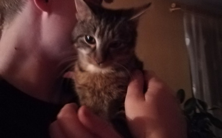 Zbiórka Zbieramy na leczenie Mimki! - zdjęcie główne