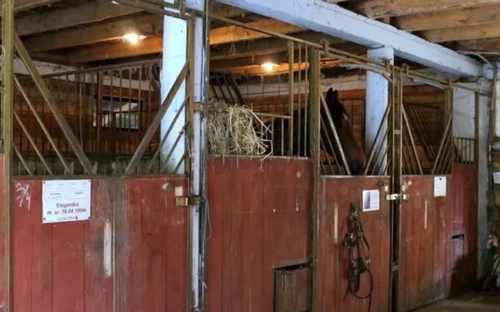 Zbiórka Pensjonat dla mojego konia PILNE - zdjęcie główne