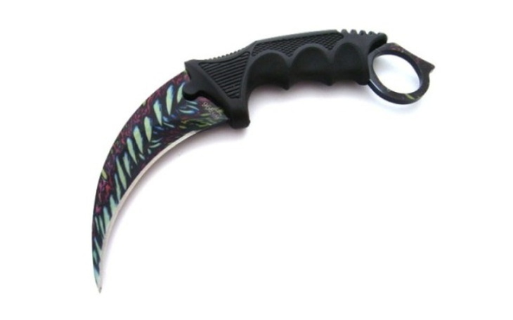 Zbiórka Karambit blue haller - zdjęcie główne