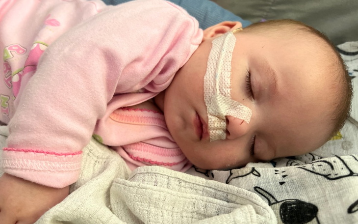 Zbiórka Rehabilitacja dla Stasis - zdjęcie główne