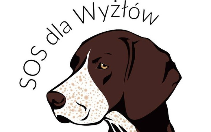 Zbiórka Pomóżmy SOS dla Wyżłów - zdjęcie główne