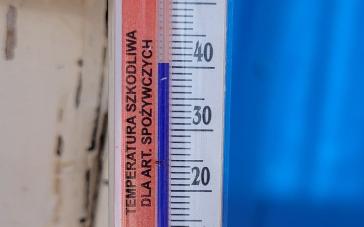 Zbiórka POMOCY - upał zabija zwierzęta - zdjęcie główne