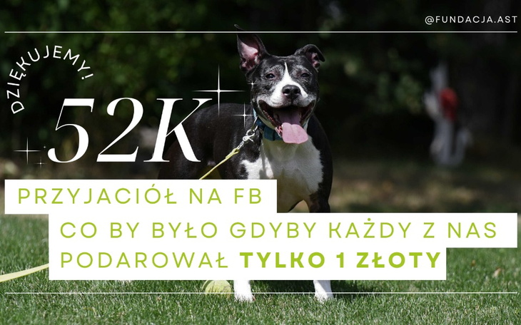 Zbiórka 52k powody do pomocy - zdjęcie główne