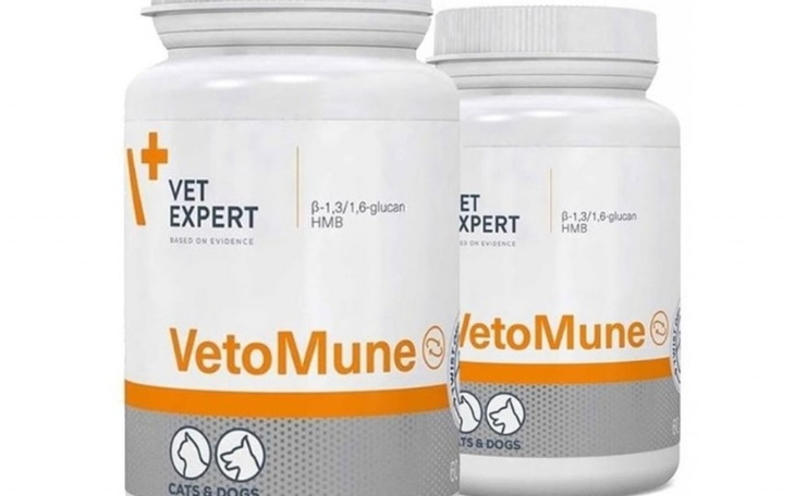 Zbiórka Zbieram na leki dla Fundacji - zdjęcie główne