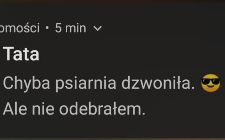 Zbiórka Na serwer RP forniteRP - zdjęcie główne