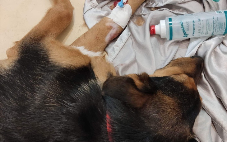 Zbiórka Walka ze śmiercią pilne - zdjęcie główne