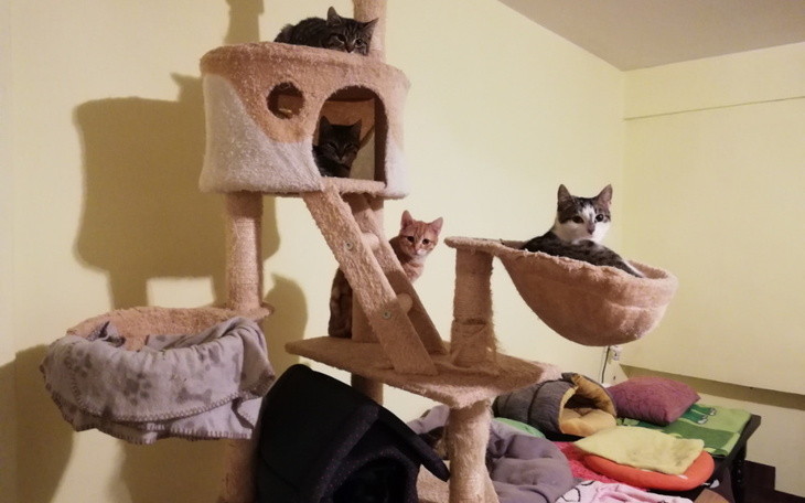 Zbiórka Opłata za lokal, wodę i inne - zdjęcie główne