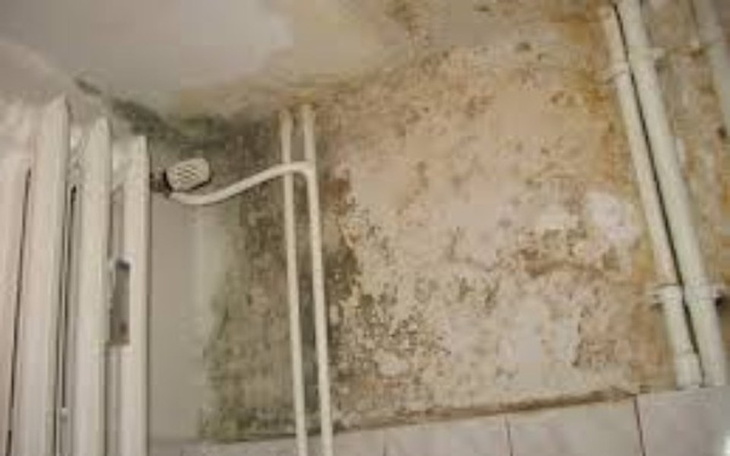 Zbiórka Wyremontować Mieszkanie - zdjęcie główne