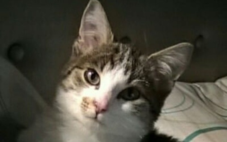 Zbiórka Zamarznięty Antoś - zdjęcie główne