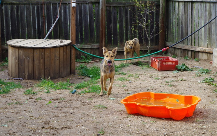 Zbiórka Woda to życie...i zepsuta pompa - zdjęcie główne