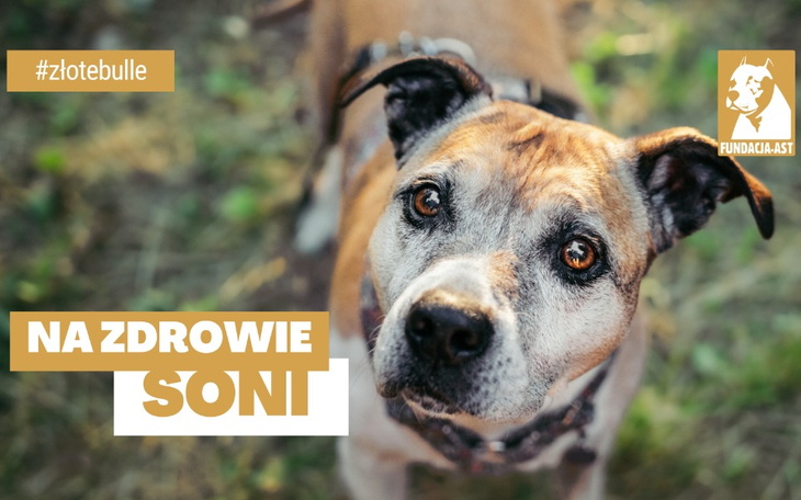 Zbiórka Na zdrowie Soni - zdjęcie główne