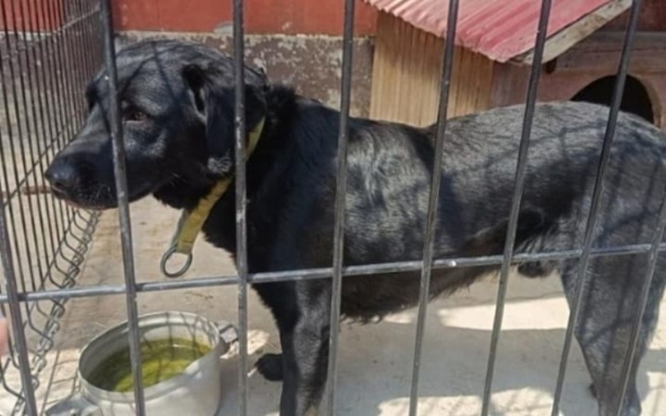 Zbiórka TRANSPORT PO NOWE Zycie - zdjęcie główne