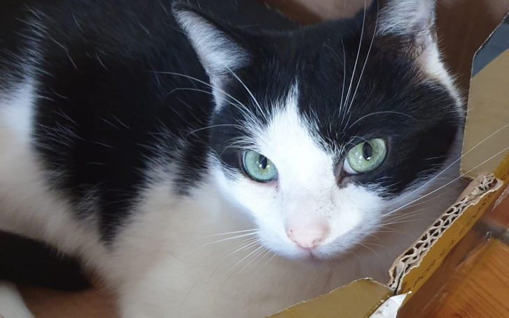 Zbiórka Operacja Loli - zdjęcie główne