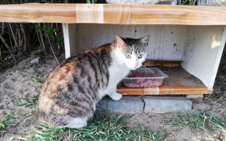 Zbiórka Lili stracił wszystko - zdjęcie główne