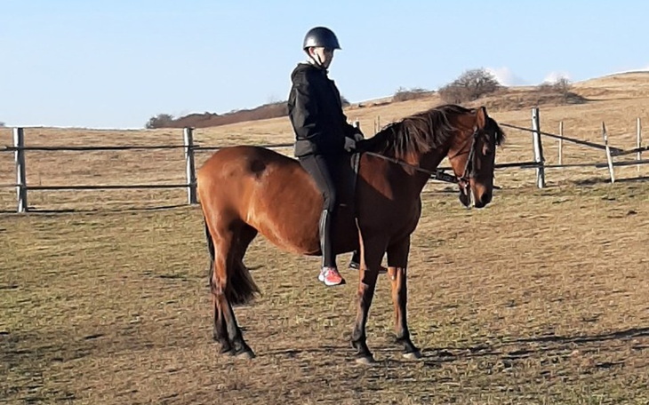 Zbiórka Realizacja marzeń. - zdjęcie główne