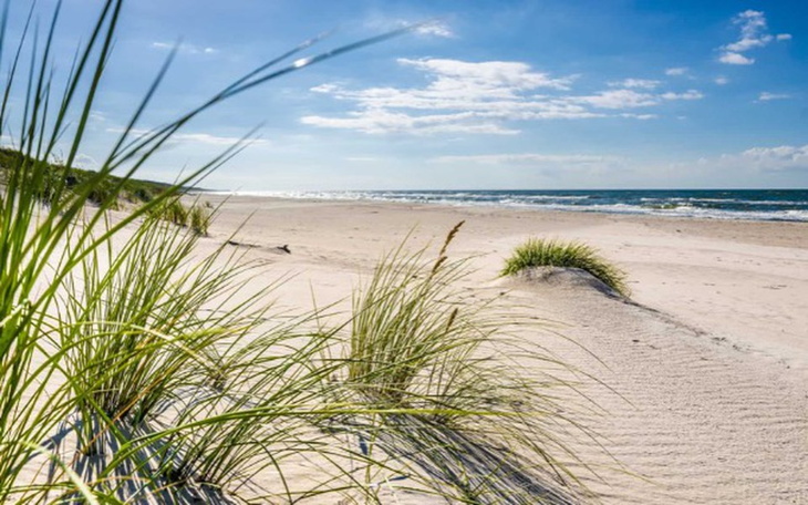 Zbiórka Dla Mamy na wymarzone wakacje - zdjęcie główne